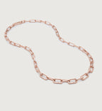 Alta Capture Charm Necklace Adjustable 56cm/22'